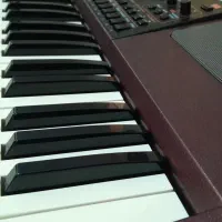 ارگ pa1000
