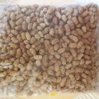 توت خشک امسالی و با کیفیت