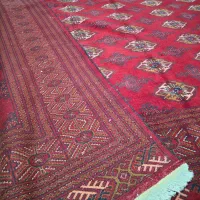 فرش ۹ متری ترکمن|فرش|رشت, پیرکلاچای|دیوار