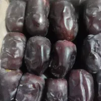 خرما پنچ کیلو وزن میانگین 6/800|حراج|بم, |دیوار