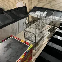 میز جا میوه  مغازه میوه فروشی