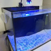 اکواریوم ابشور حرفه ای اب شور بک سامپ با تجهیزات