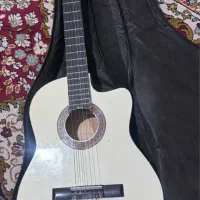 گیتار و سنتور