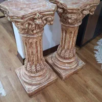 گل مقاوم|گل و گیاه طبیعی|قم, انسجام|دیوار