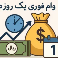 یک روزه وام بگیر