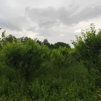 باغچه|فروش دفتر صنعتی، کشاورزی، تجاری|نوشین شهر, |دیوار