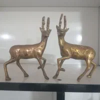 گوزن برنجی