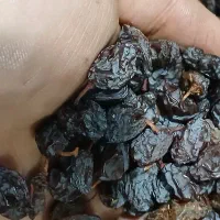 کشمش آفتابی فخری