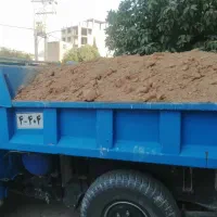 خاک باغچه،کود حیوانی گاوی،  کل شیراز