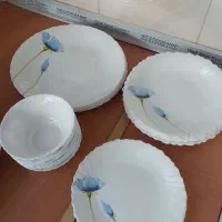 سرویس آرکوپال لومینارک اصل