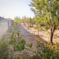 ۵۵۰متری دور دیوار در|فروش خانه و ویلا|مشهد, امین آباد|دیوار