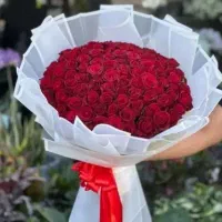 مناسب ترین قیمت