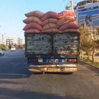 کاه|عمده‌فروشی|یزد, |دیوار