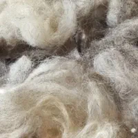 پشم گوسفندی