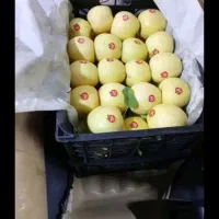 سیب متاز سمیرم
