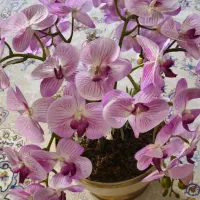 گل مصنوعی|گل مصنوعی|تهران, بروجردی|دیوار