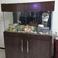 آکواریوم