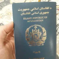 پاسپورت گم شده