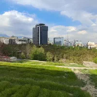 دفتر-کار-440-متر-یوسف-آباد