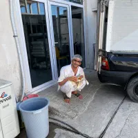 استخدام نیرو