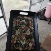 سینی و قوری و جانونی و سطل اشغال|ظروف سرو و پذیرایی|لاهیجان, لیل|دیوار