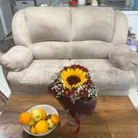 کاناپه راحتی