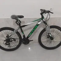 دوچرخه های برند viva