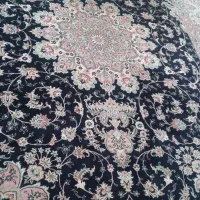 فرش ۵۰۰شانه مشهد