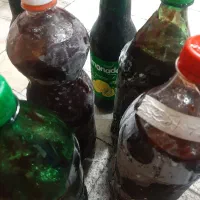 رب آلوچه آذربایجان