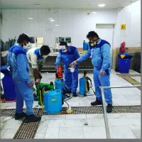 سمپاشی تضمینی)موریانه ساس کک موش سوسک گال