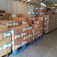 شرکت پخش مستقیم