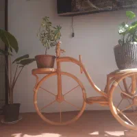 گل های اپارتمانی|گل و گیاه طبیعی|اهر, |دیوار