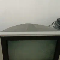 تلویزیون ال جی|تلویزیون و پروژکتور|گرگان, |دیوار