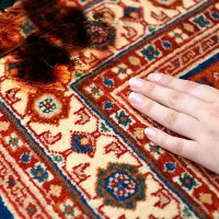 قالیشویی ومبلشویی پاکینو پردیس فاز 1،2،11،8|خدمات نظافت|پردیس, فاز ۸|دیوار