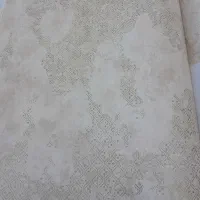 کاغذ دیواری خارجی تحت لیسانس رولی ۳۰۰