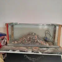 سلام|ماهی|یزد, |دیوار