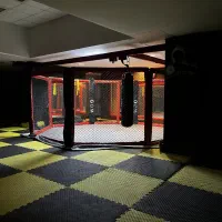 باشگاه تخصصی mma(ام ام ای)|خدمات آموزشی|کرمانشاه, |دیوار