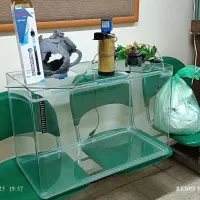 آکواریوم ، ماهی