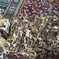 لوازم خانگی|میز و صندلی غذاخوری|ایلام, |دیوار