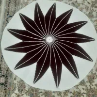 پادری کاموا