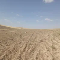 جو دیمی چاق