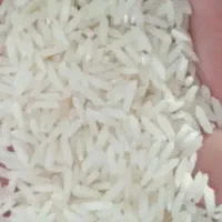 برنج/برنج هاشمی/برنج آستانه درجه یک