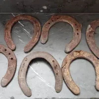 شش عدد نعل اسب