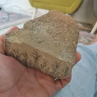 لاشه سنگ شجر عتقیه