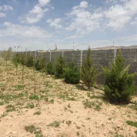 فروش-چند-قطعه-زمین-باغی-روستای-زاخرد-بخش-ارژن