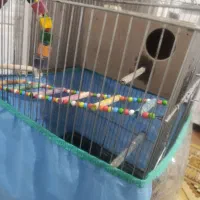 ی عدد. قفس بزرگ به همراه وسایل