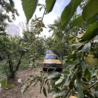 بنز کلاسیک ۲۳۰ دانشجویی|خودرو کلاسیک|کرج, حصارک بالا|دیوار