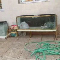 اکواریوم بزرگ و کوچیک