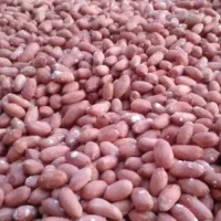 بادام کره گیری و برشته