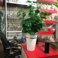 گل کنار سالنی مصنوعی|گل مصنوعی|اسلامشهر, شهرک امام حسین (میان آباد)|دیوار